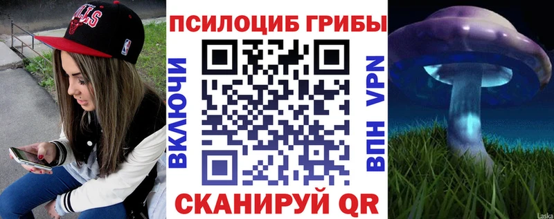 купить наркотики цена  Сортавала  Галлюциногенные грибы Psilocybine cubensis 